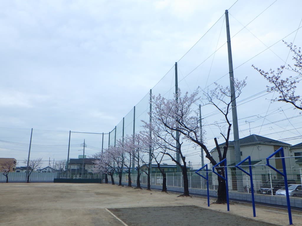 安行東中学校 防球ネット設置